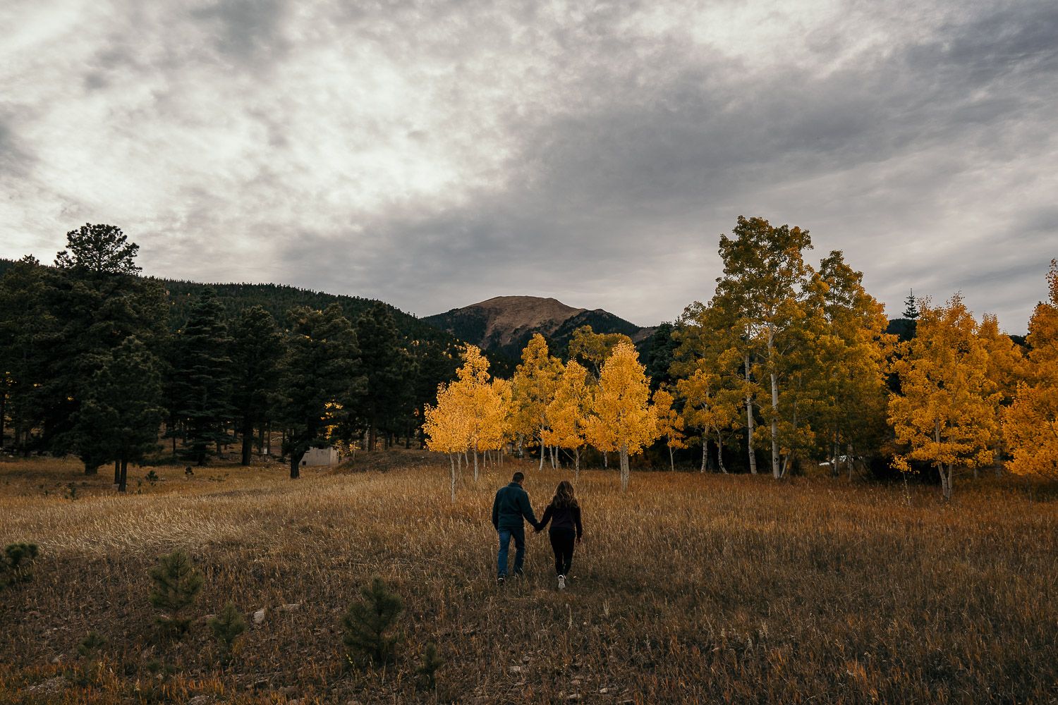 Fall Adventure Session, Alvarado Campground, Westcliff Colorado, Hillside Colorado, Autumn, Colorado Engagement Photography, Colorado Couples Photographer, Elopement 