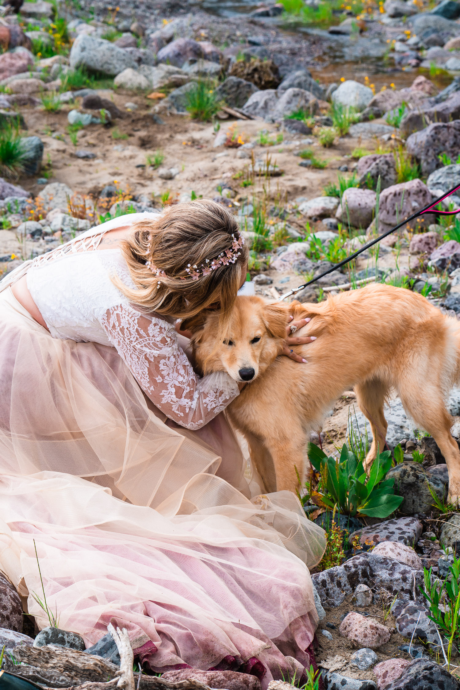 Bride with Dog Of Honor