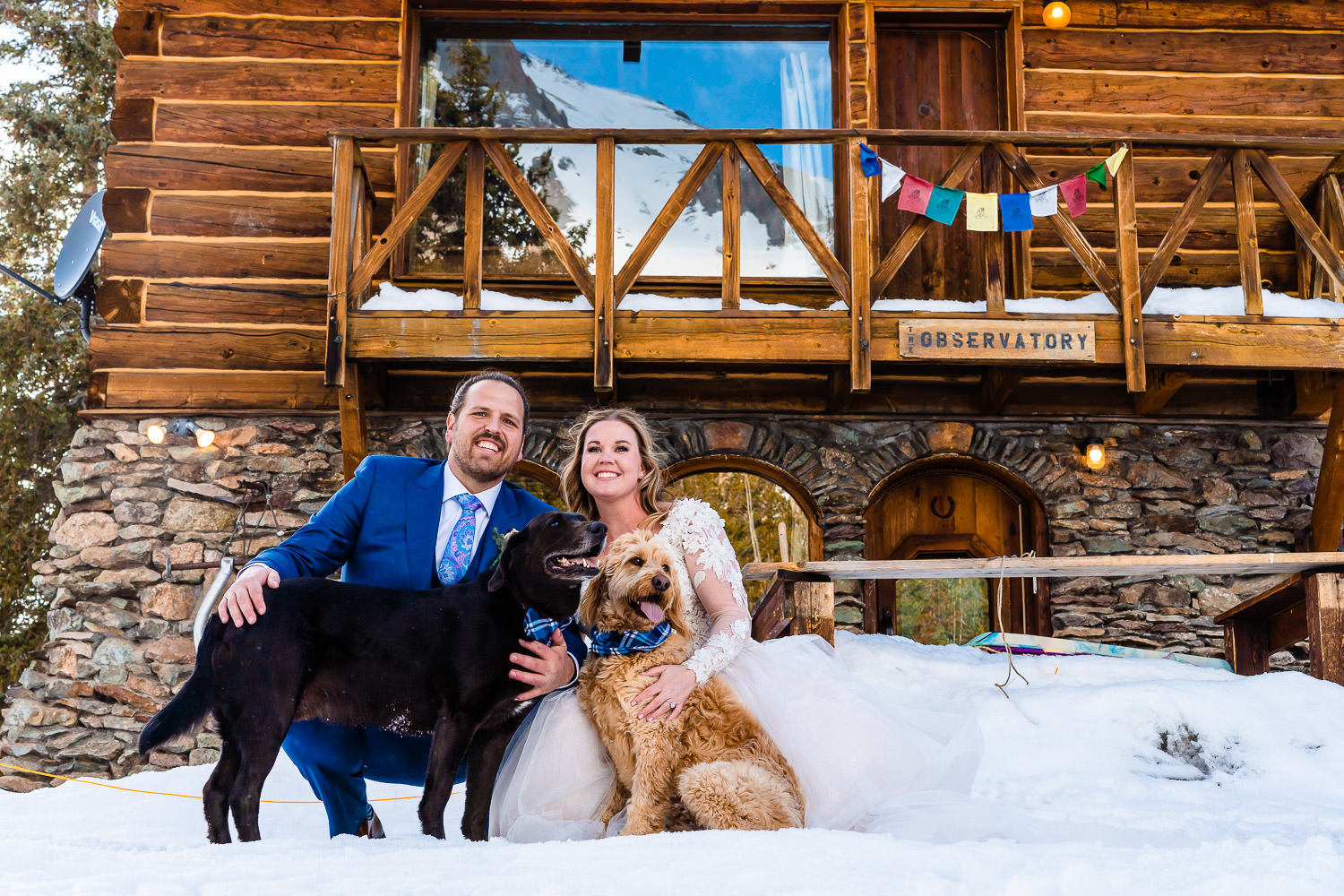 newlyweds with their dogs