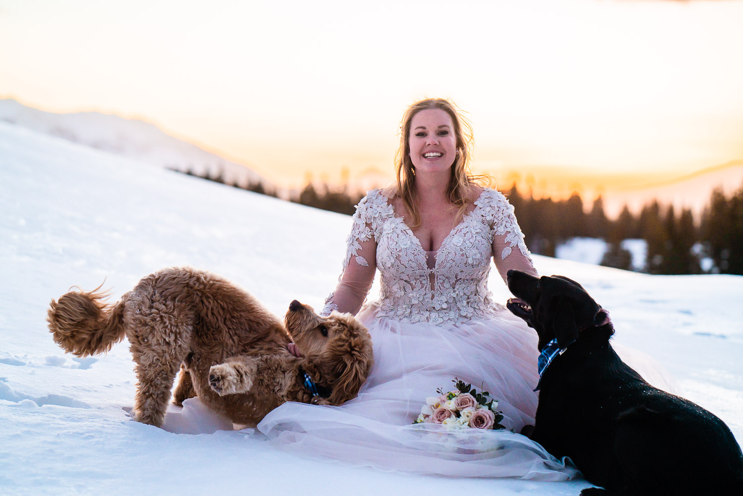 newly wed bride with her dogs on a snow covered mountain