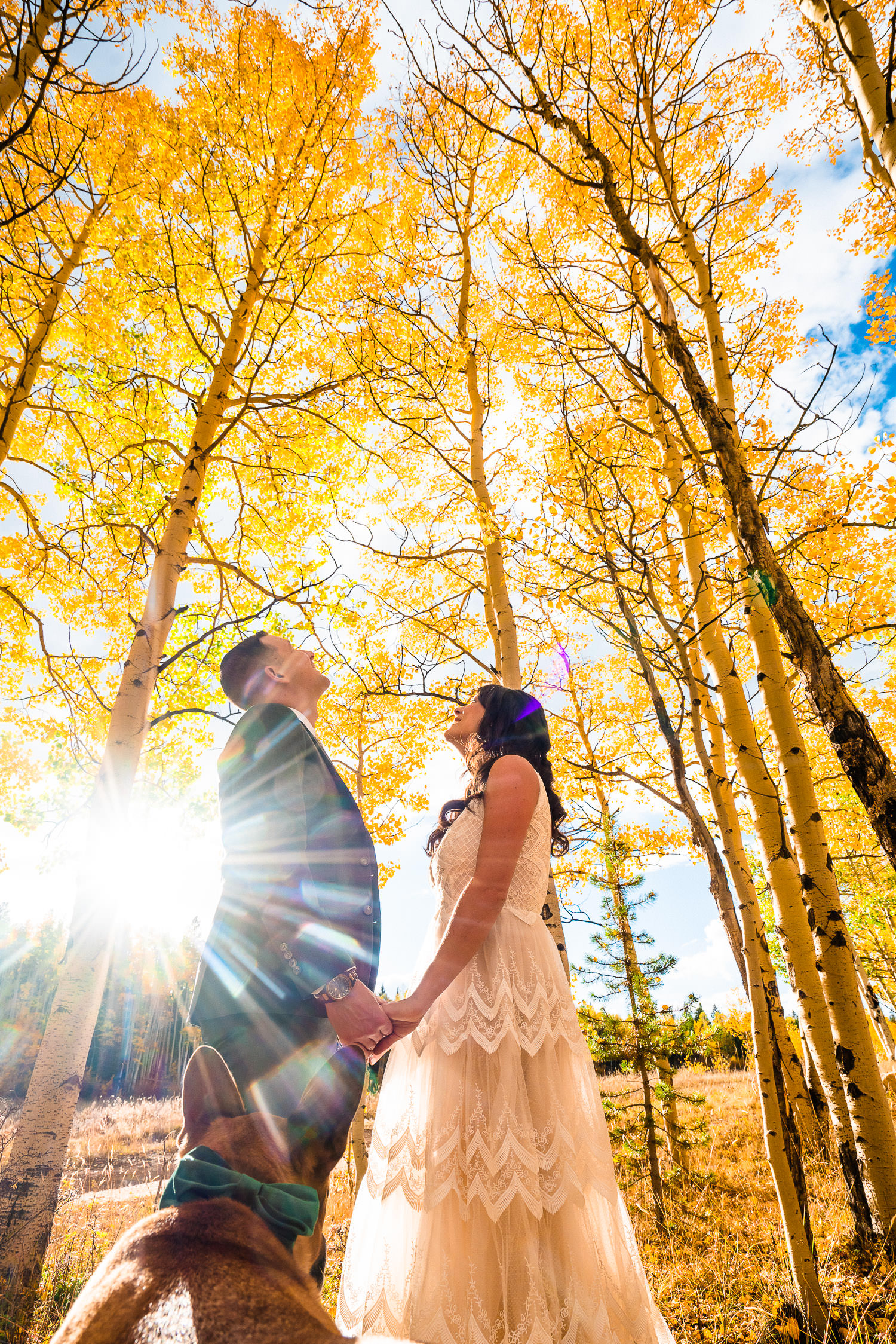 newlyweds in the aspen trees