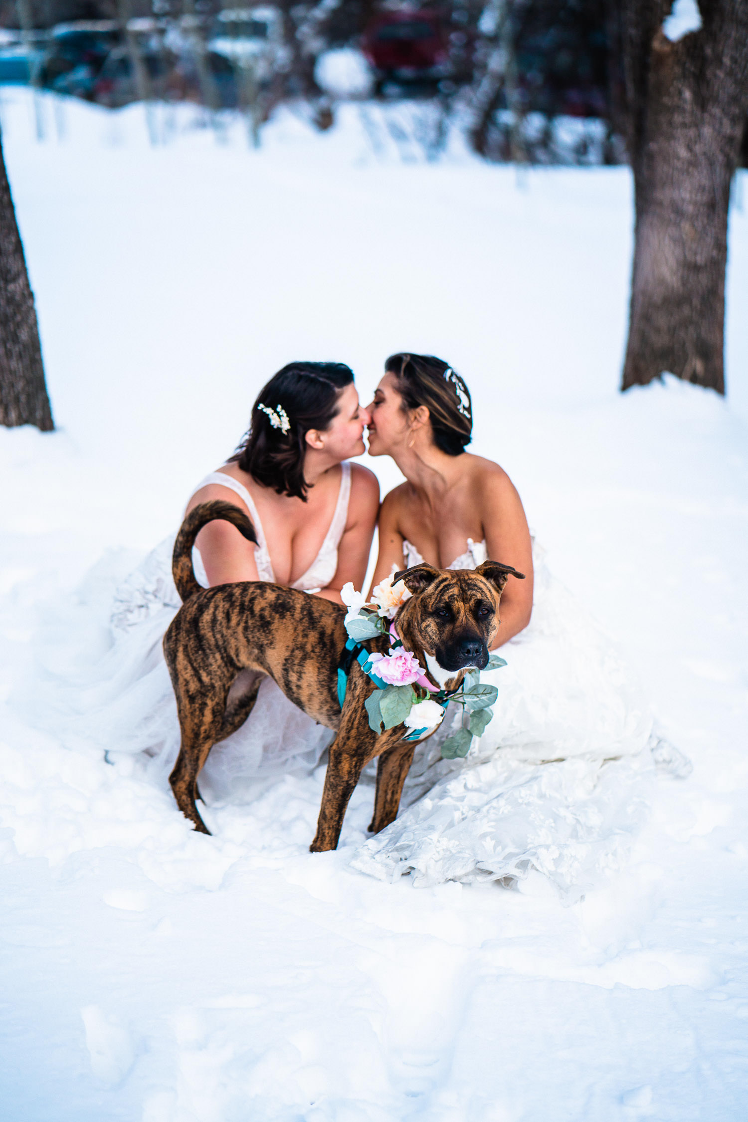 Two brides and their dog in a snowy forrest