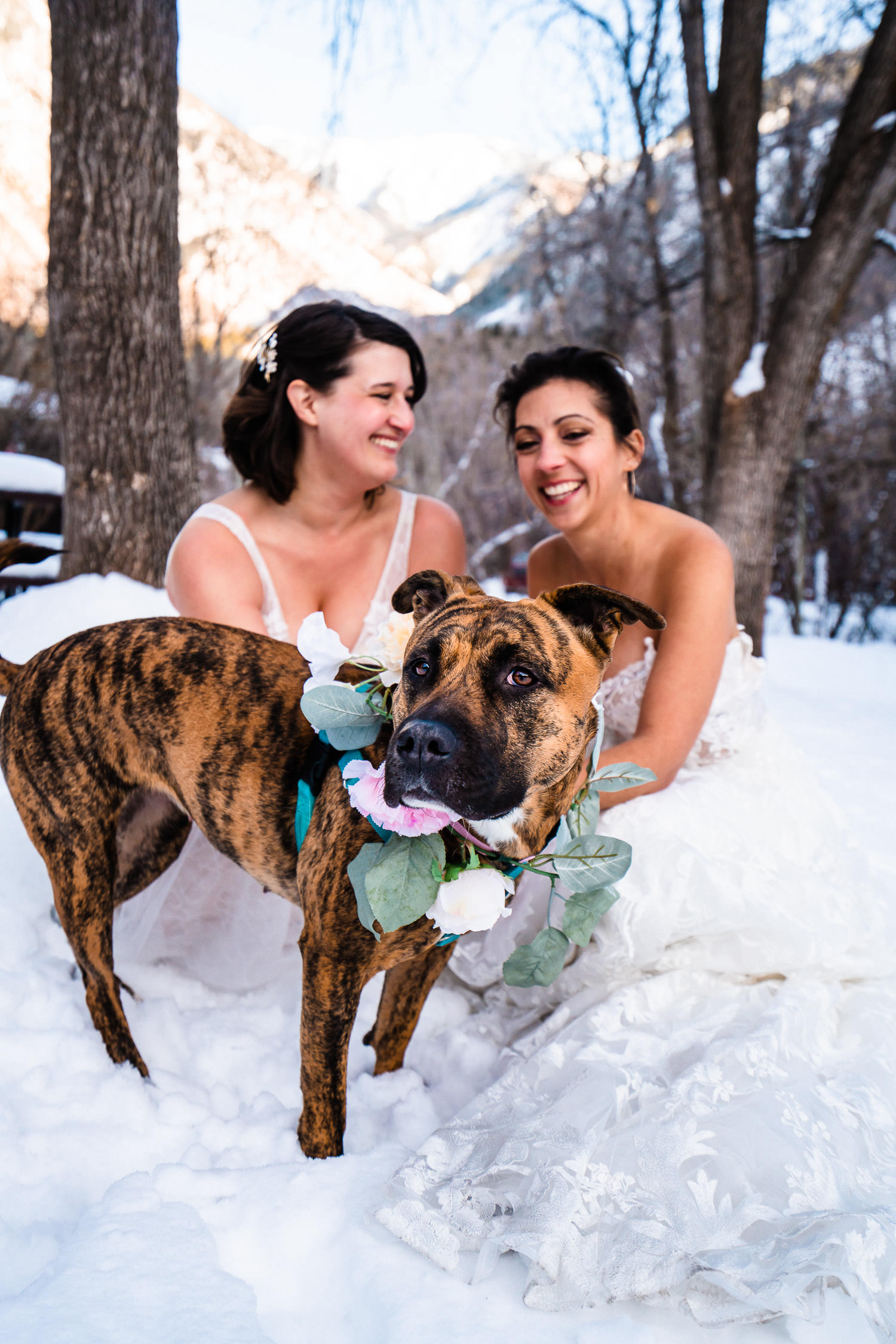 Two Brides and Dog of Honor