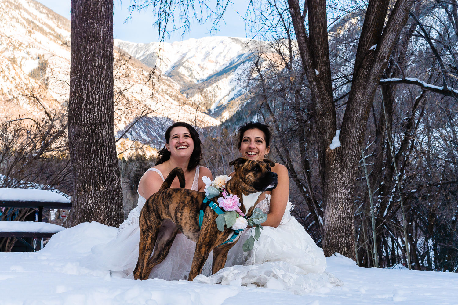Two brides and their dog in the snowy mountains