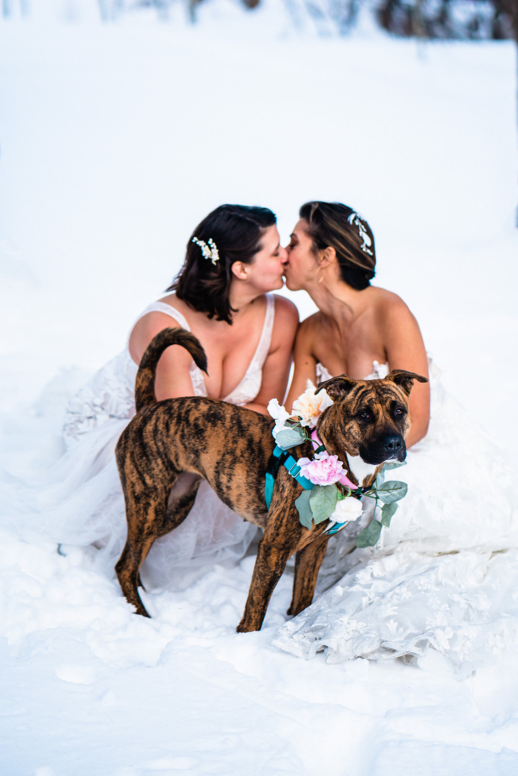 Lesbian couple kissing in the snow with their pup standing next to them