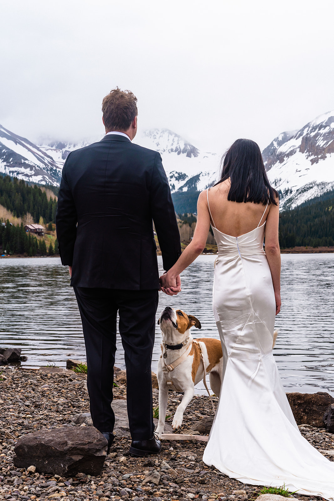 Bride and grooms Dog friendly elopement in Colorado