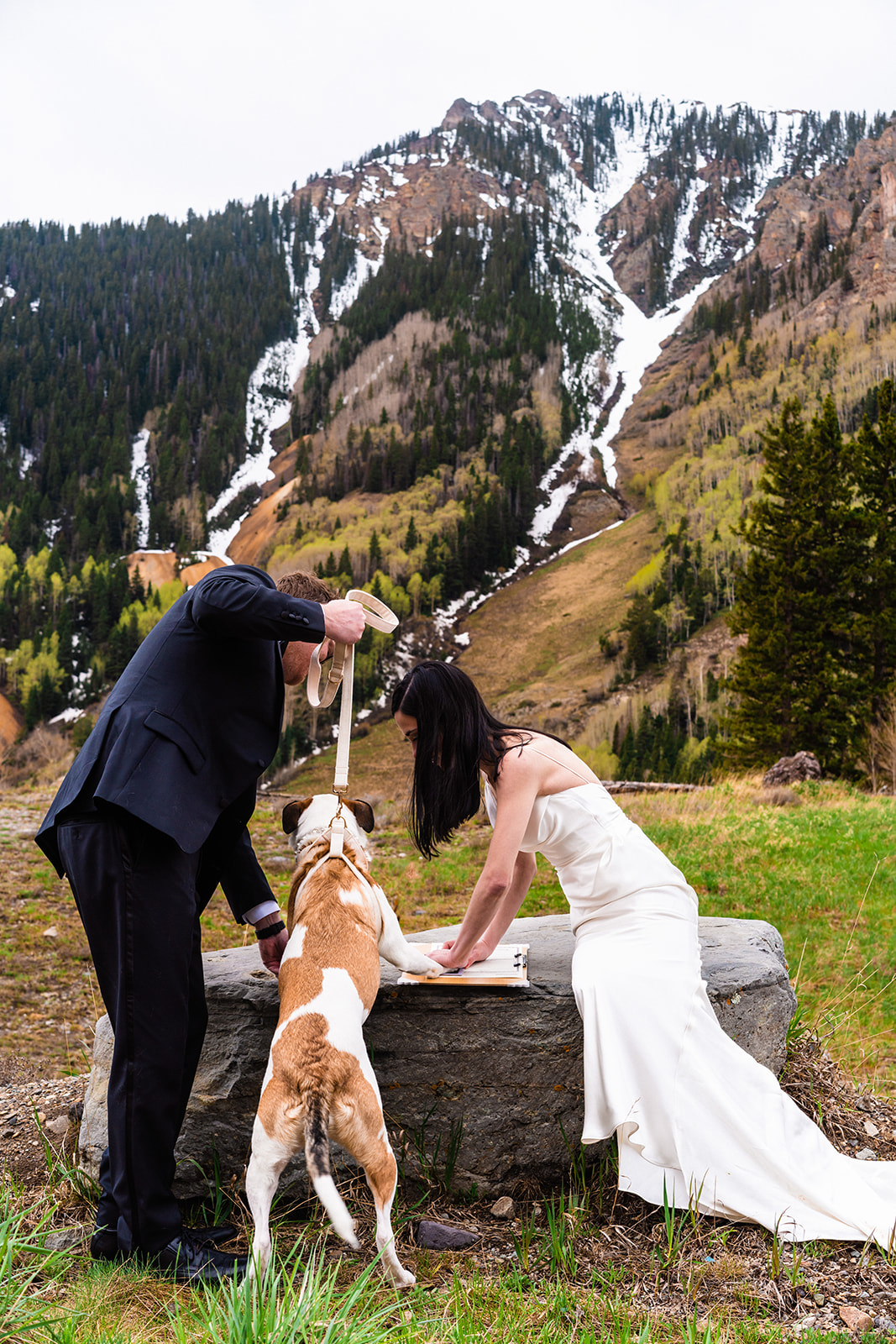 Bride, groom, and their dog signing their marriage license