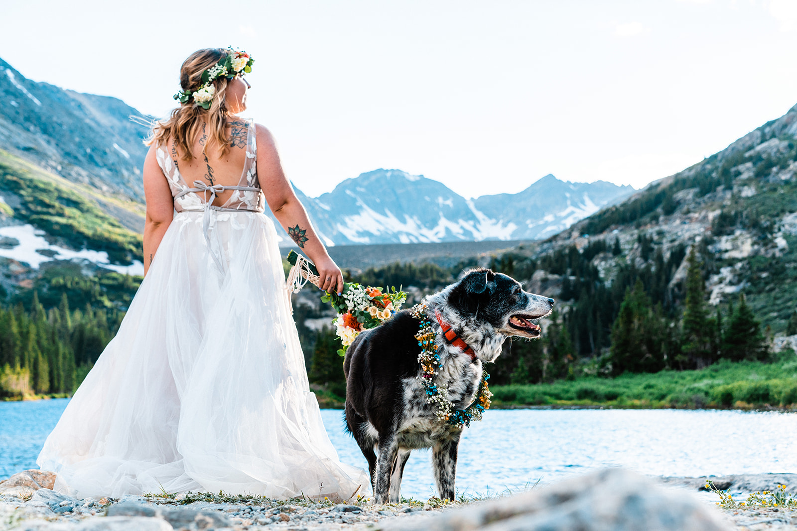 Bride posing with her pup looking off into the distance