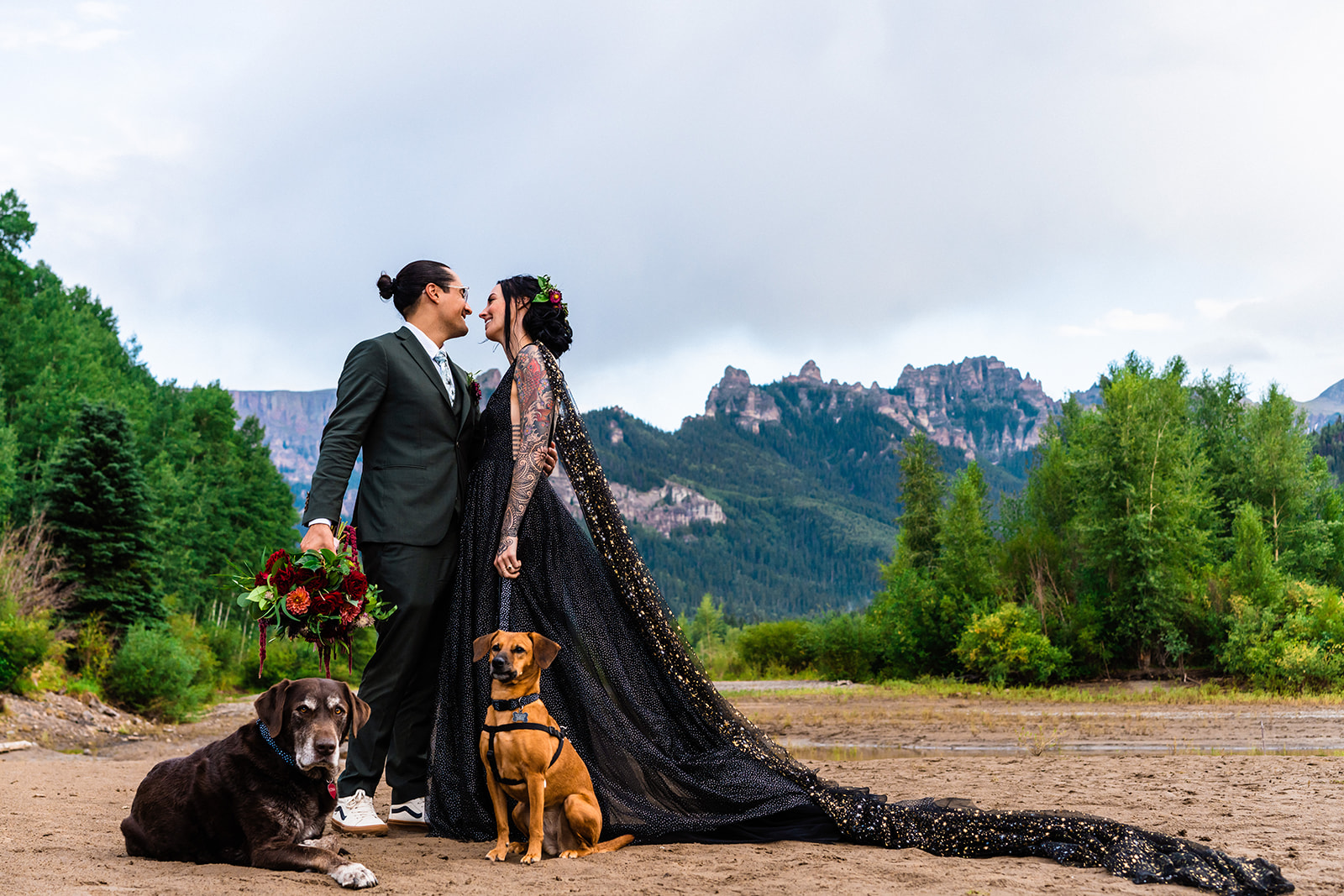Bride and groom smiling at one another next to their dogs