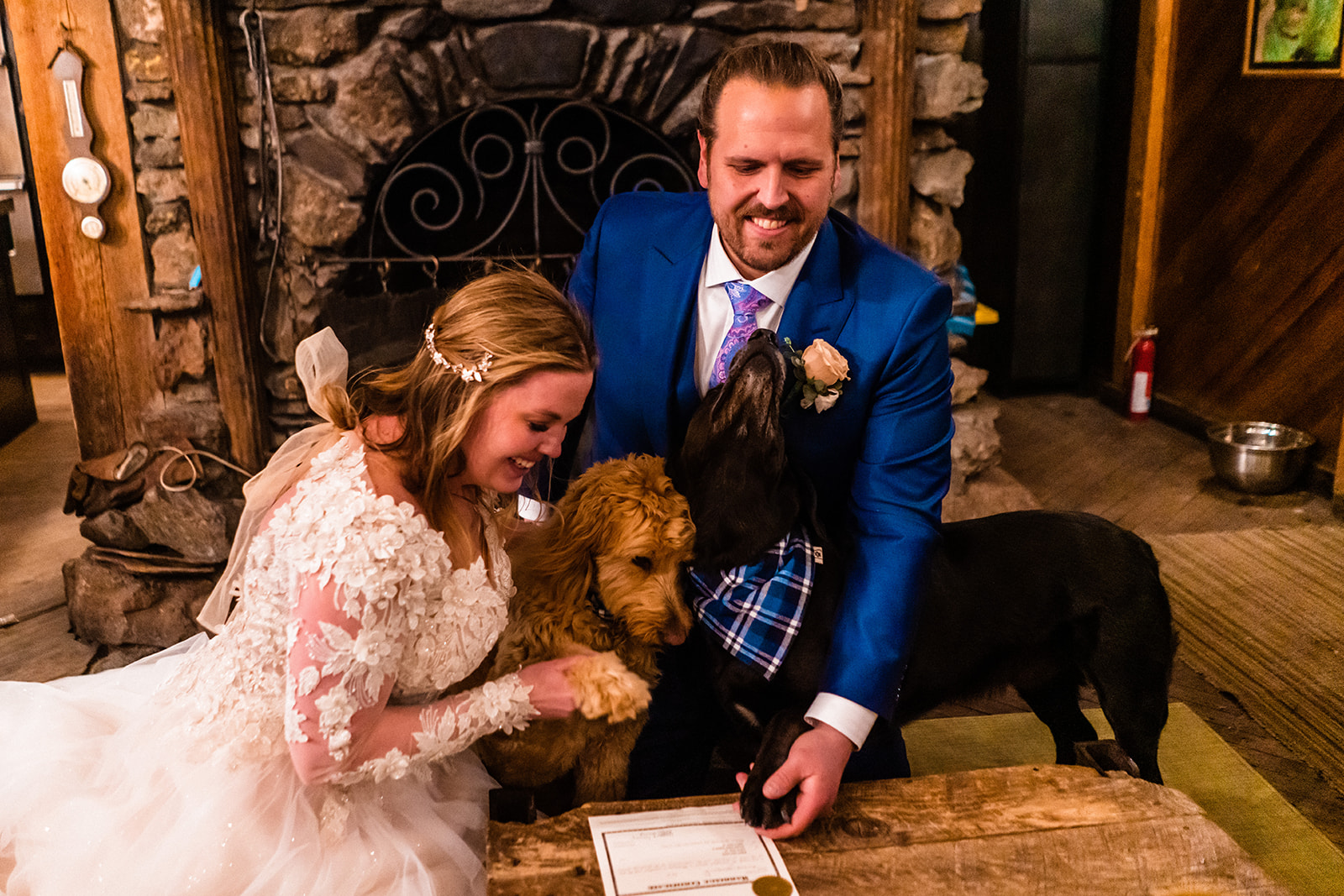 Bride and grooms pups signing their marriage license