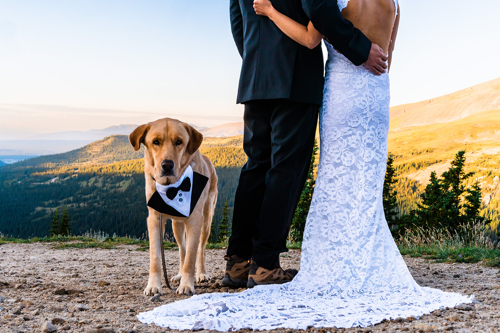 Bride and groom standing next to eachother as their furry friend poses in a dog tux