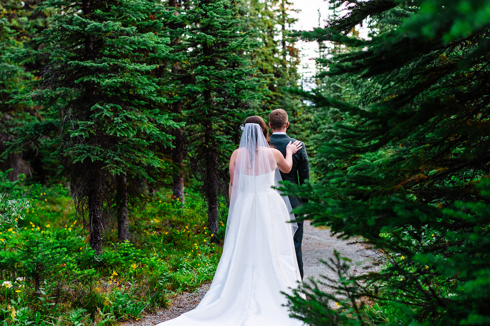 Bride and grooms first look in the forests of Banff