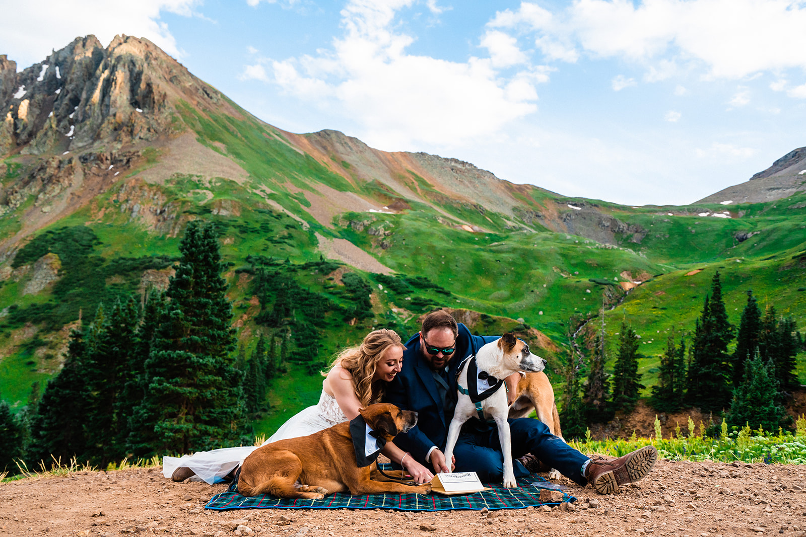 Intimate Yankee Boy Basin Elopement and wedding in Ouray with dogs