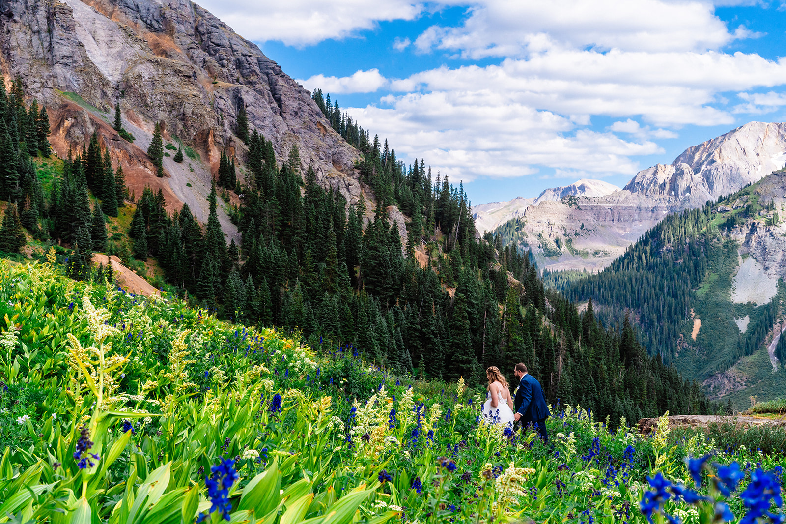 Bride and groom walking in a field of flowers and grass at Yankee Boy Basin