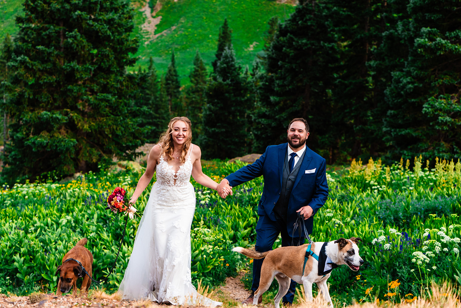 Adventurous bride and groom at Yankee Boy Basin in Ouray with their dog