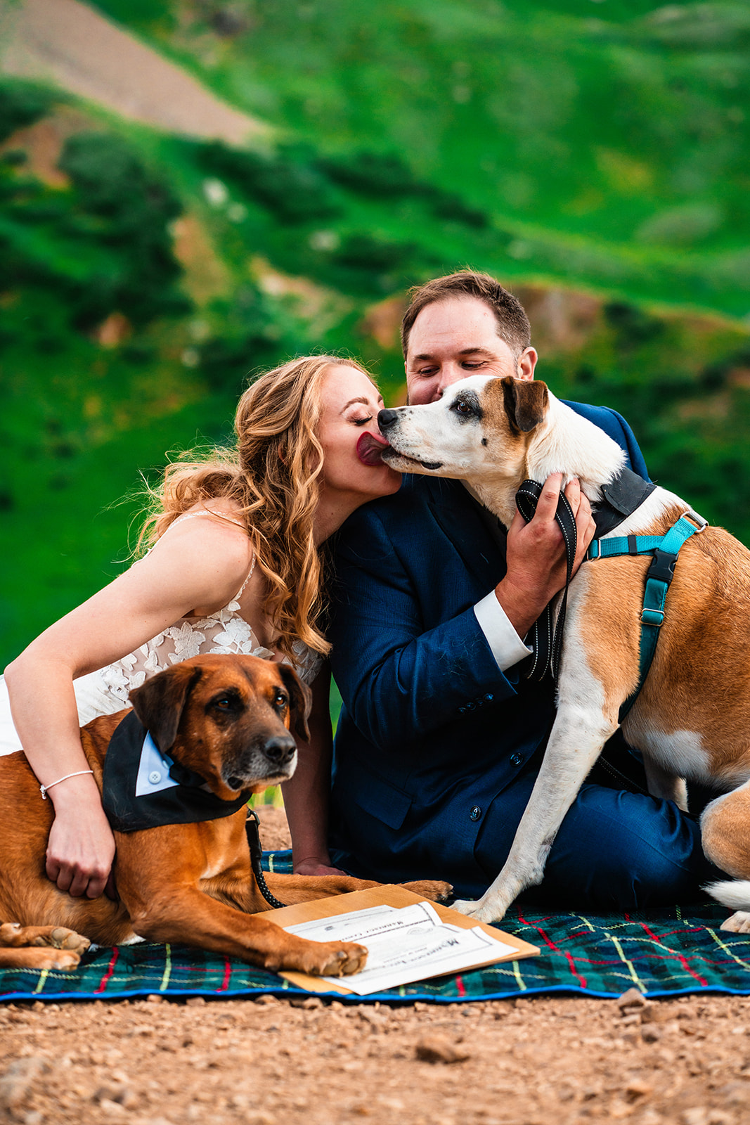 Bride and groom having their dogs sign as their witnesses