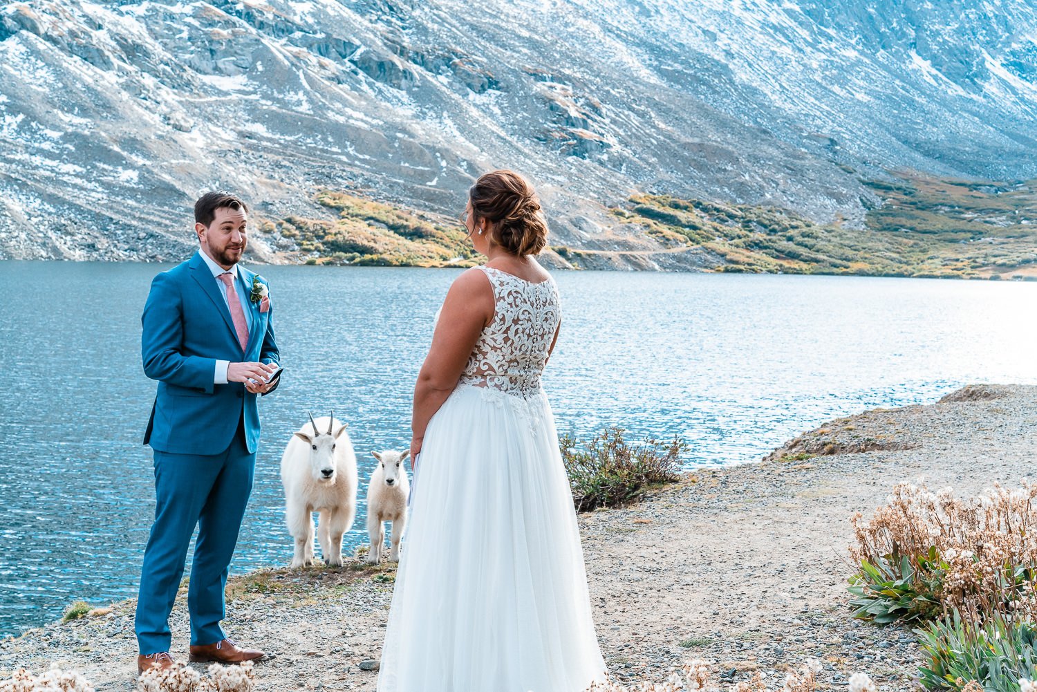 An intimate elopement photoshoot capturing the bride and groom's joyous moment alongside their beloved dogs, set against the serene backdrop of a picturesque lake.