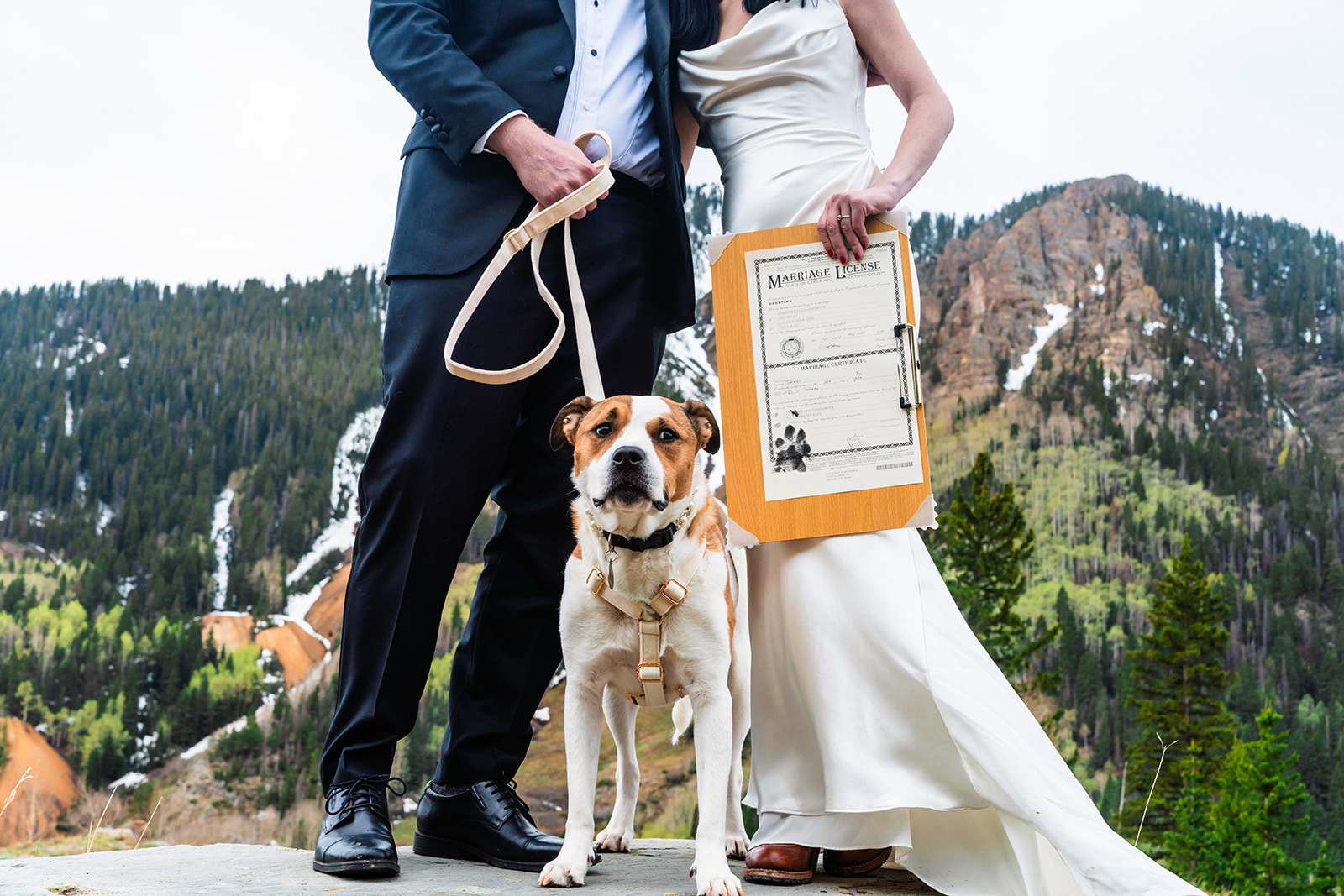 An intimate Telluride elopement with the bride, groom, and their furry companion on a leash.