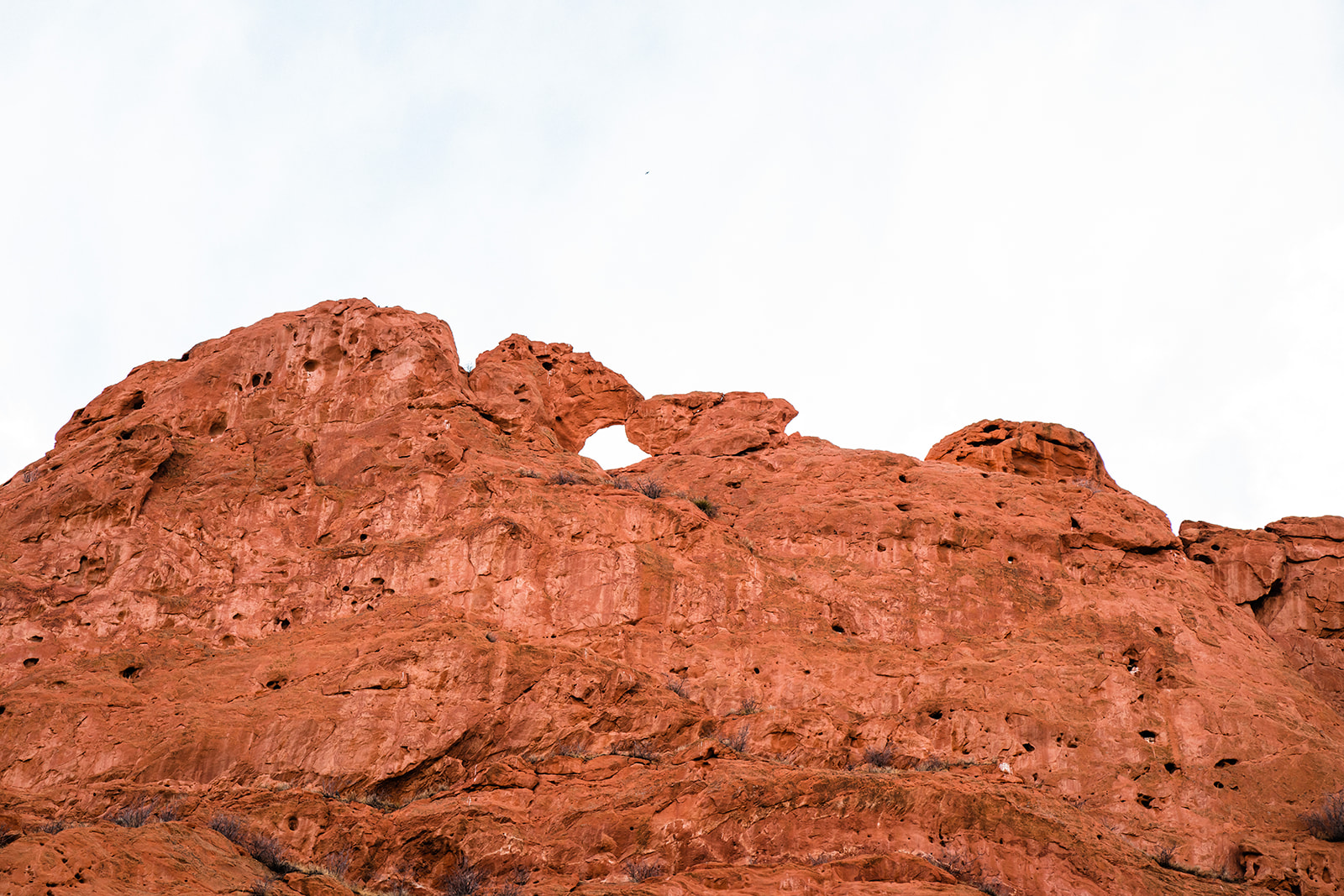 An iconic landmark in Garden of the Gods called Kissing Camels, which is a towering and vibrant red rock formation that resembles the faces of two camels kissing one another.
